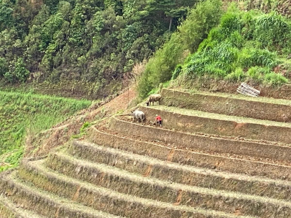 Mu Cang Chai Homestay & Trekking Exterior foto