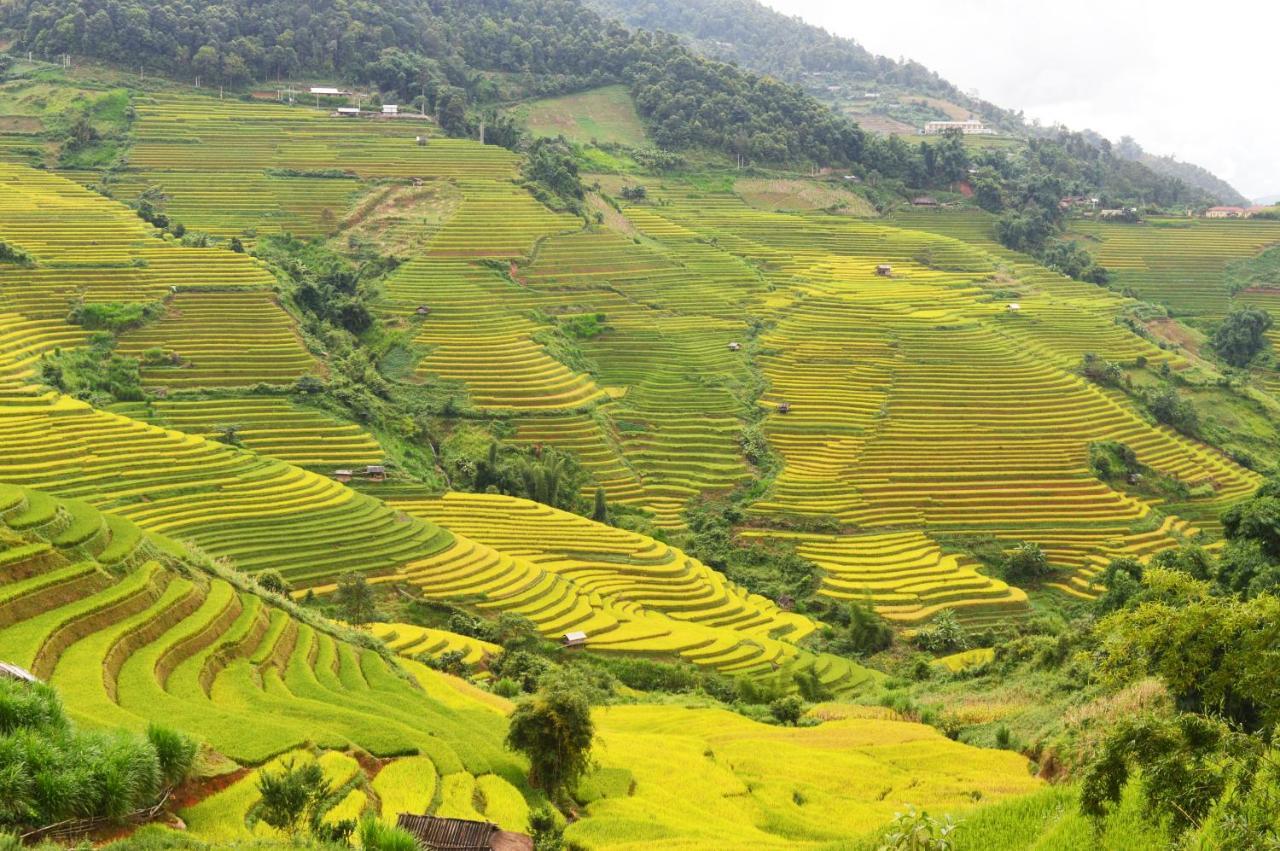 Mu Cang Chai Homestay & Trekking Exterior foto
