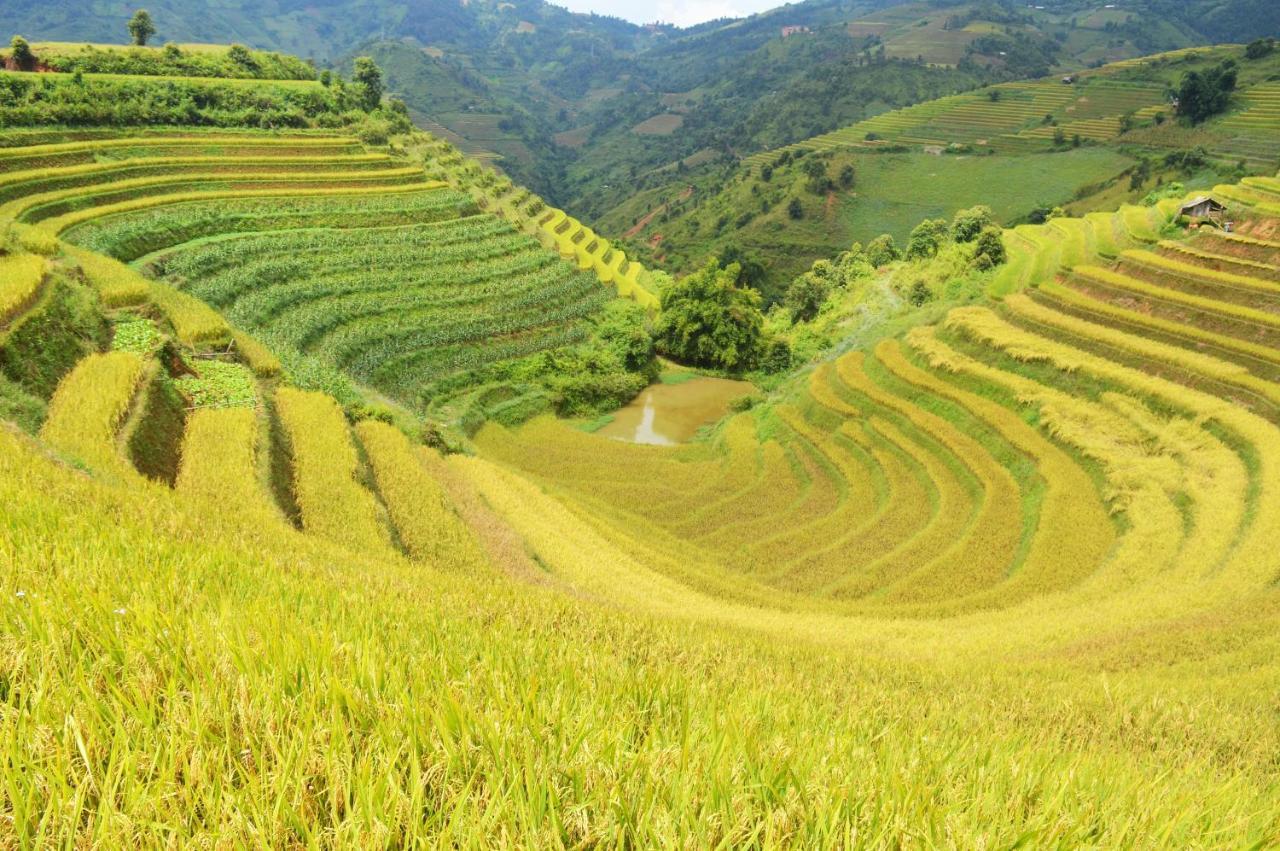 Mu Cang Chai Homestay & Trekking Exterior foto