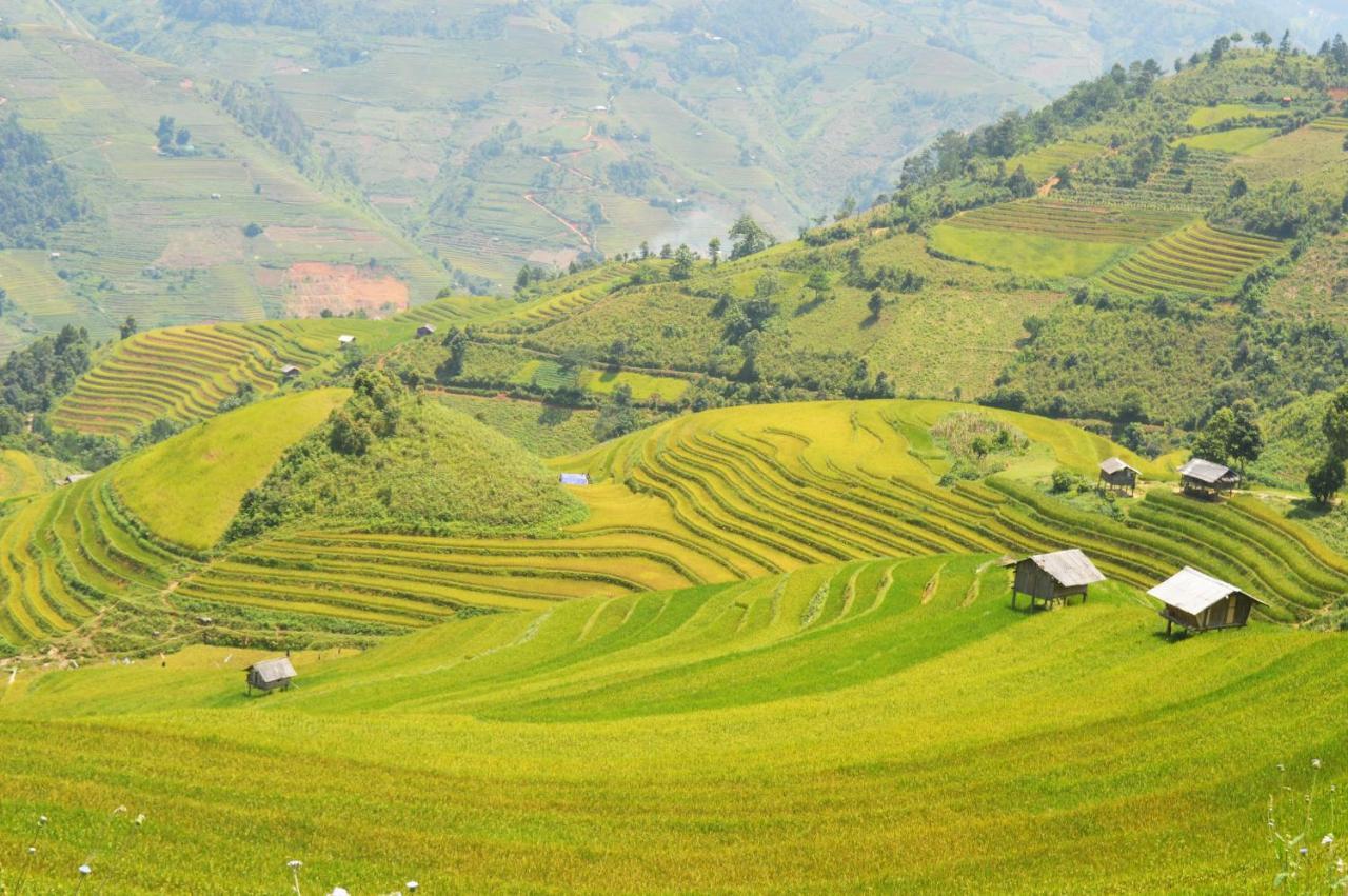 Mu Cang Chai Homestay & Trekking Exterior foto