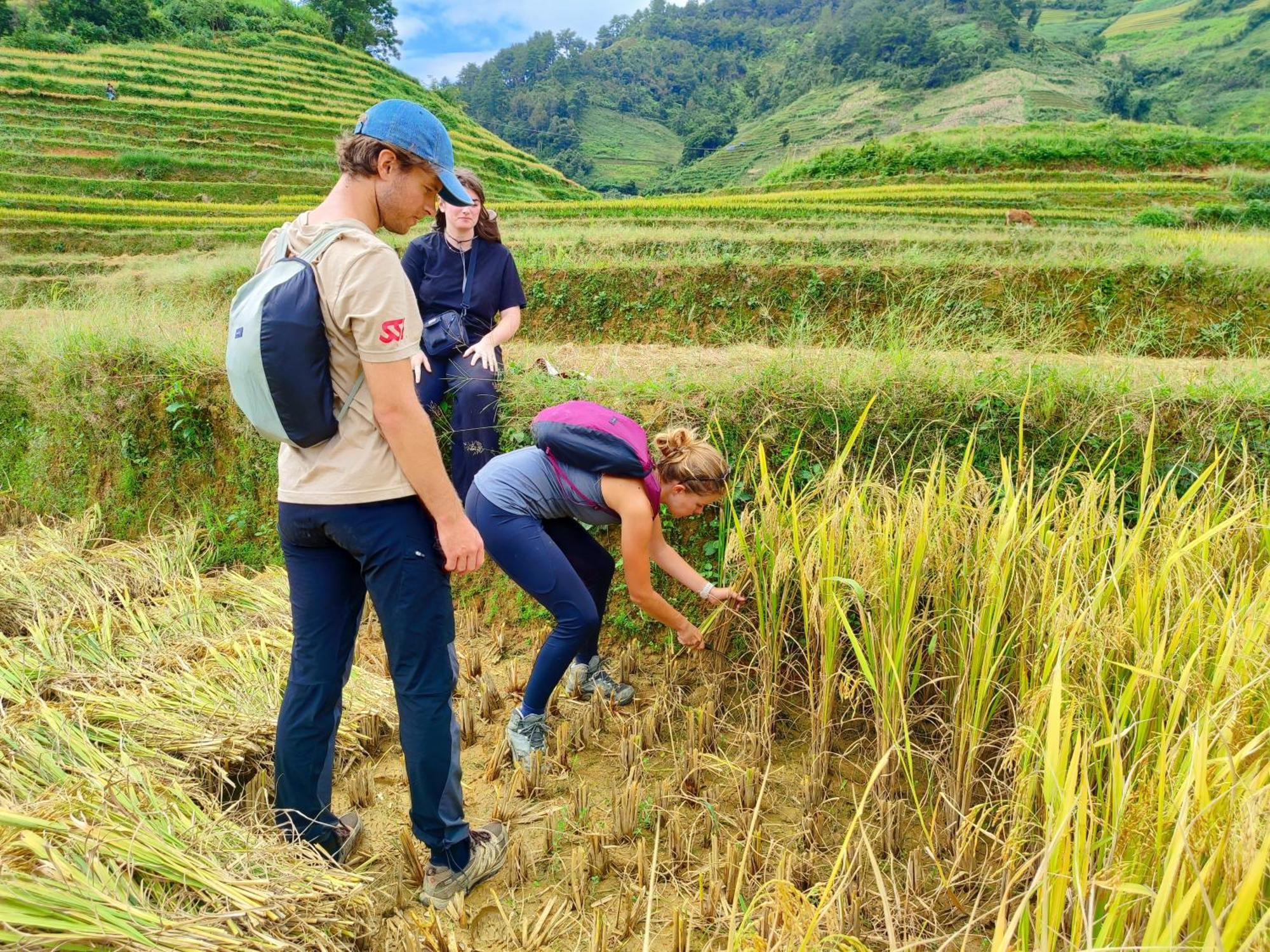 Mu Cang Chai Homestay & Trekking Exterior foto