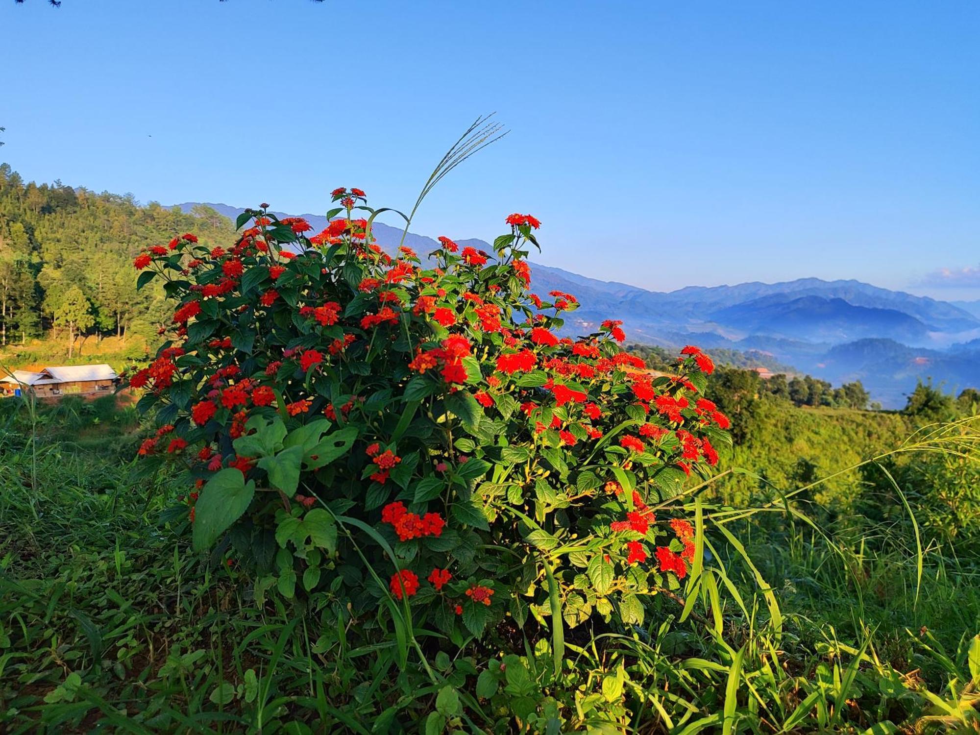 Mu Cang Chai Homestay & Trekking Exterior foto
