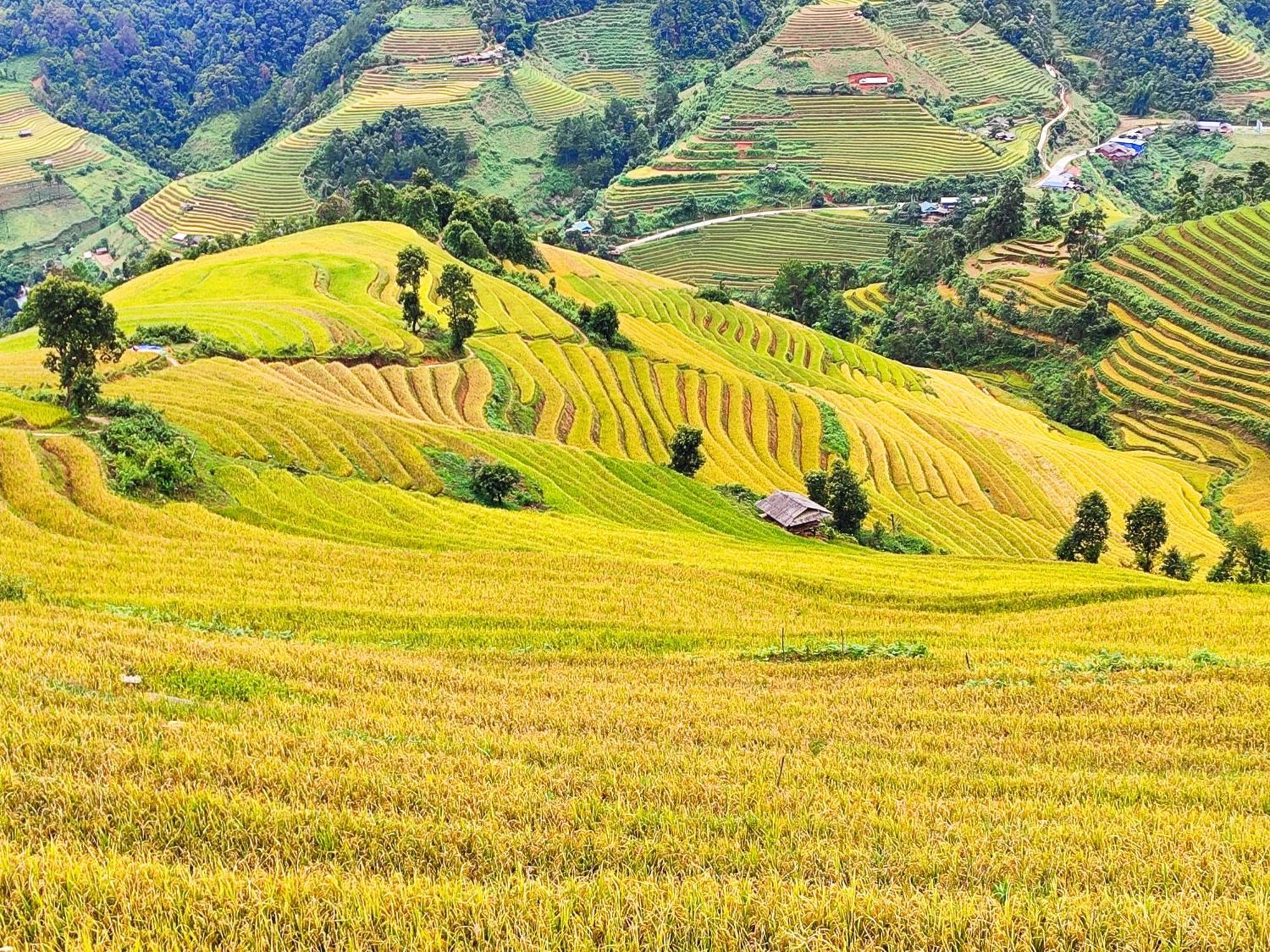 Mu Cang Chai Homestay & Trekking Exterior foto