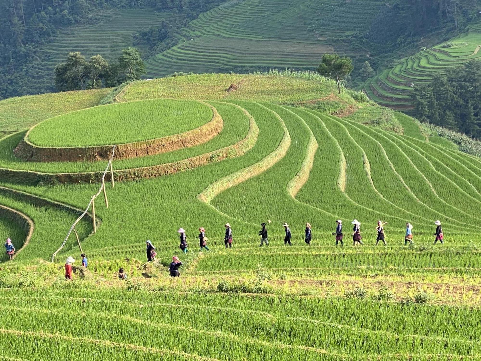 Mu Cang Chai Homestay & Trekking Exterior foto