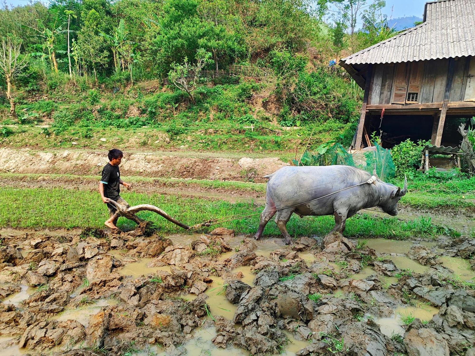 Mu Cang Chai Homestay & Trekking Exterior foto