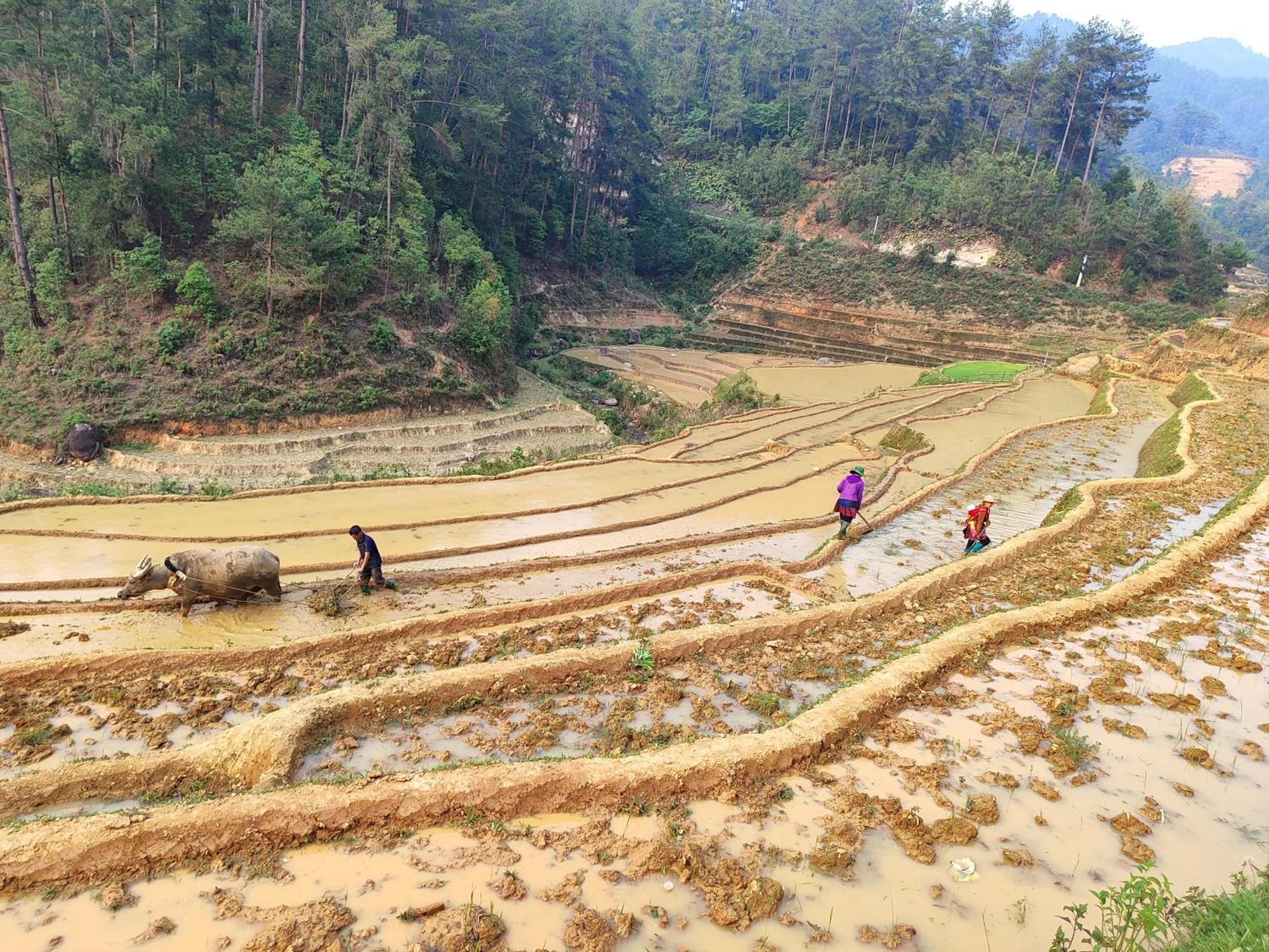 Mu Cang Chai Homestay & Trekking Exterior foto