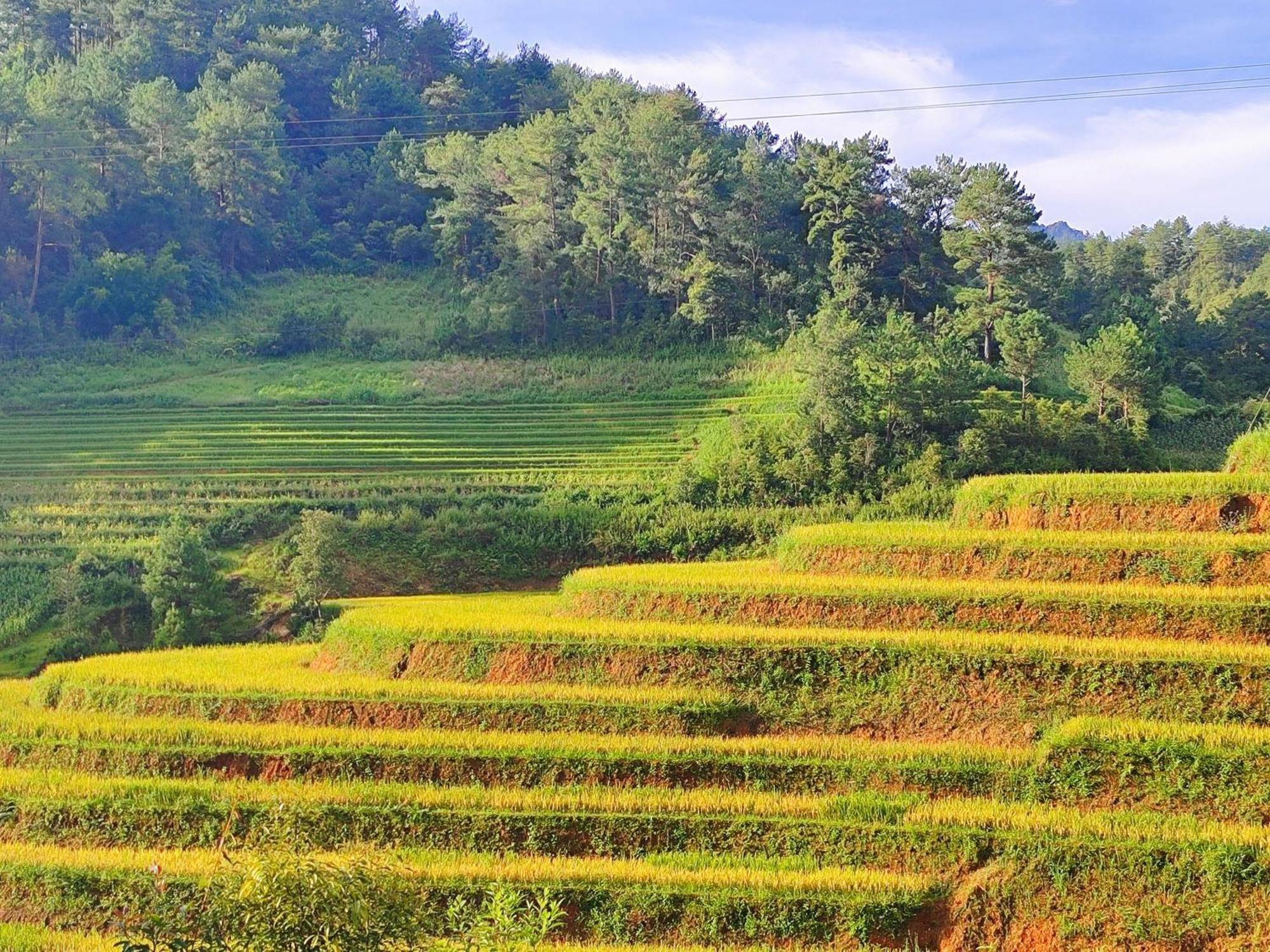 Mu Cang Chai Homestay & Trekking Exterior foto
