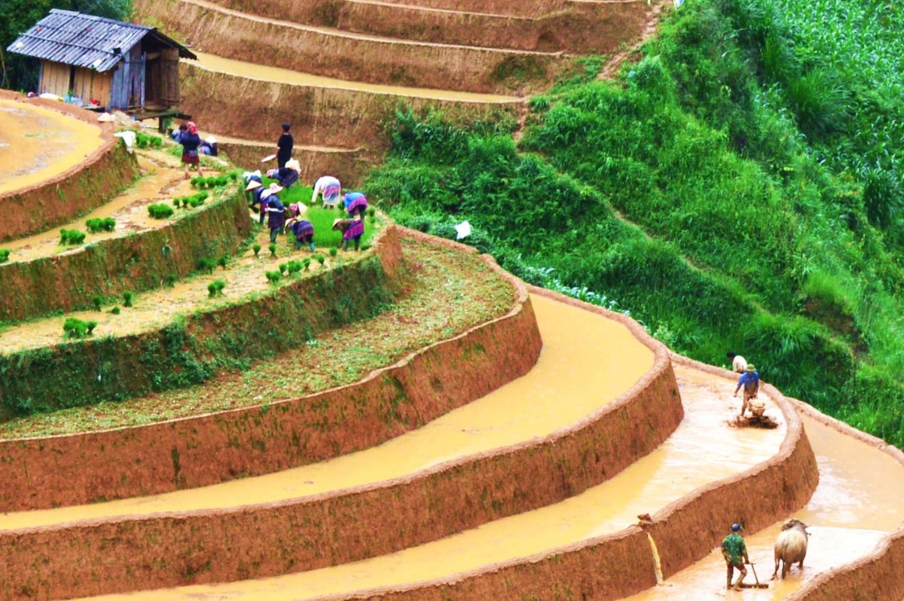 Mu Cang Chai Homestay & Trekking Exterior foto