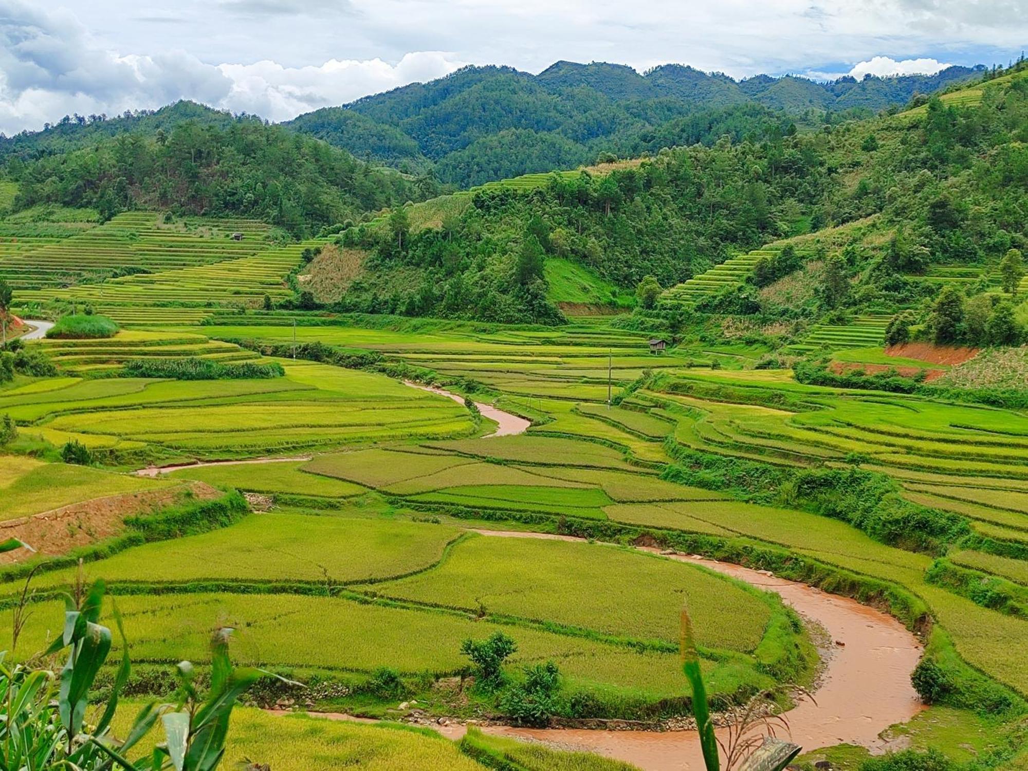 Mu Cang Chai Homestay & Trekking Exterior foto