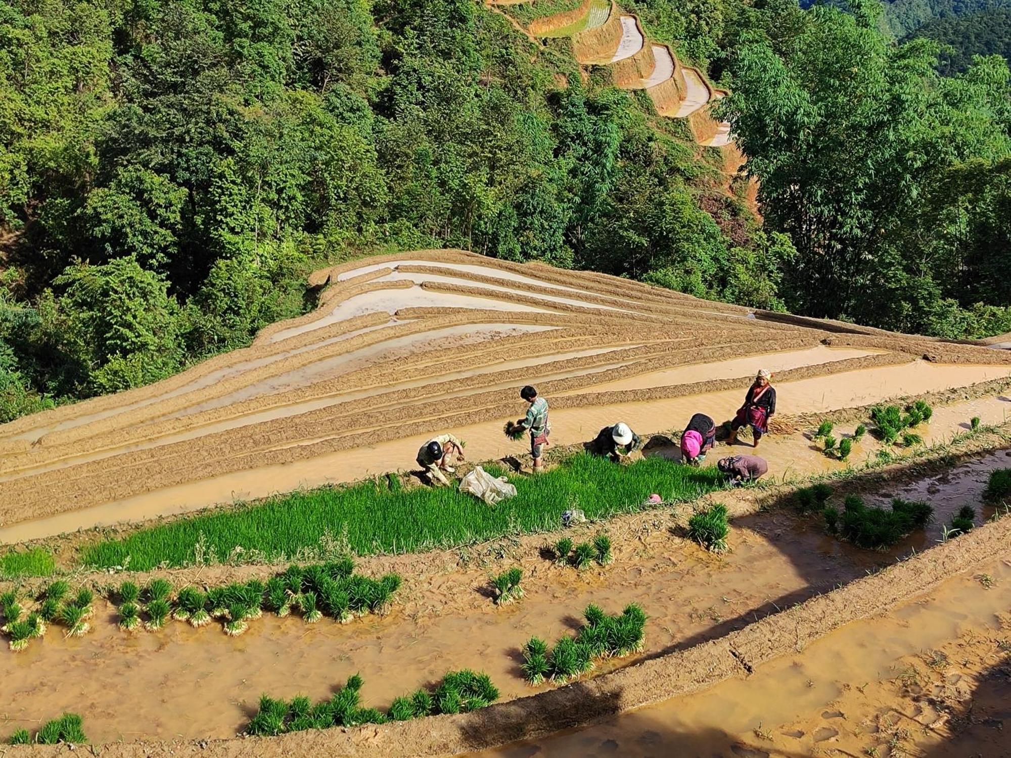 Mu Cang Chai Homestay & Trekking Exterior foto